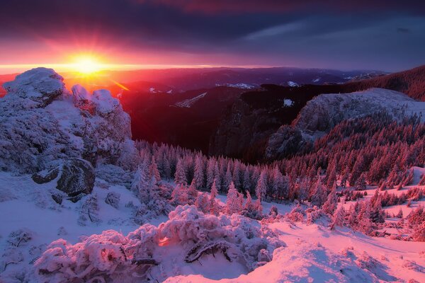 The serene sunrise of the sun in the winter forest