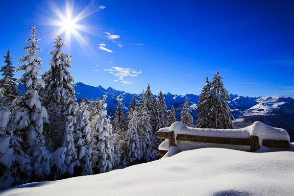 Neve splendente in una mattina di sole invernale