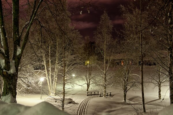 The night park and ski area are illuminated by lights