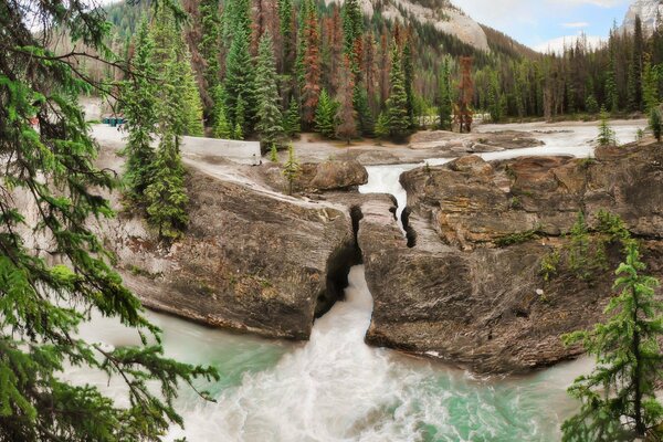 A mountain river flowing through the rocks