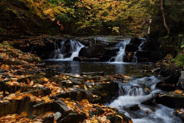 Ein kleiner Wasserfall, in dem die Herbstblätter schwimmen