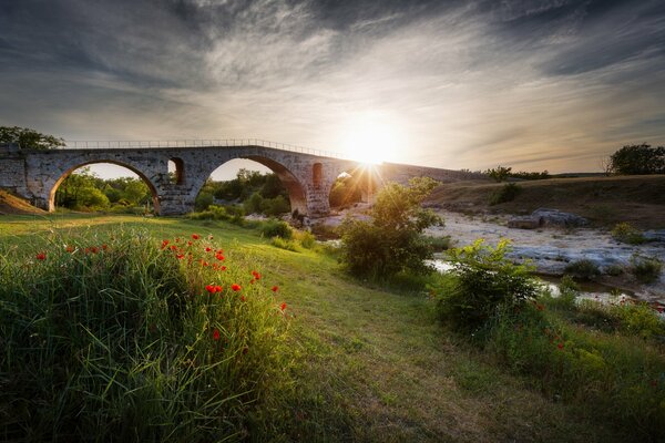 Morning gymnastics in a natural clearing