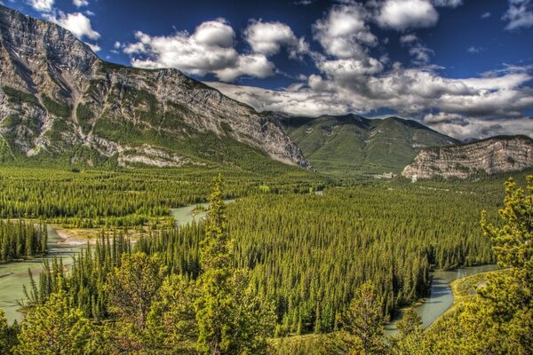 Parc canadien. Paysage de montagne