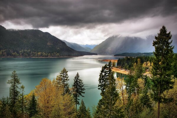 Cielo cupo sopra il lago e la foresta