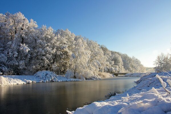 Frost, but the river is not frozen. Beautiful landscape