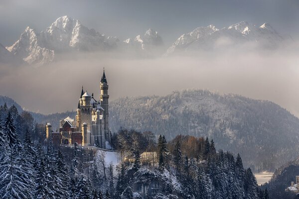 Schloss Neuschwanstein in Deutschland. Schneebedeckte Bäume und Berge. Winter in Bayern