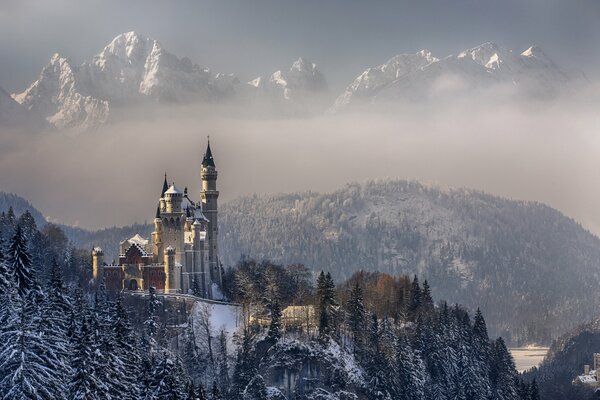 Zamek Neuschwanstein w Niemczech. Śnieżne drzewa i góry. Zima w Bawarii