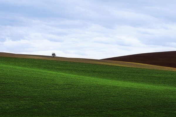 A green field covered with low grass with a view of the hill