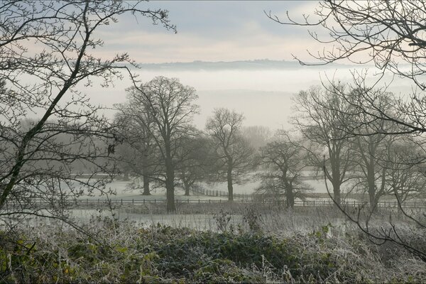 Landscape on the background of fields in frost