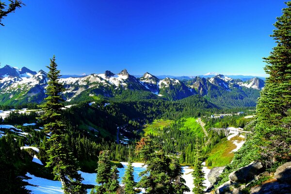 Foto de la naturaleza. Estados Unidos, Cumbre, Mount Rainier