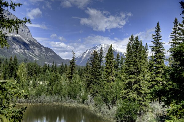 Лес и горы вокруг озера в Канаде