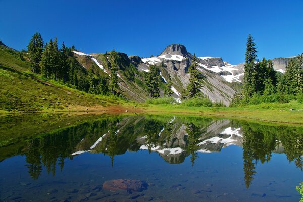 Nadelwald vor dem Hintergrund von schneebedeckten Bergen und hellblauem Himmel in Spiegelreflexion der ruhigen Oberfläche des Sees