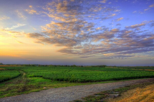 Extraordinaria puesta de sol sobre el campo