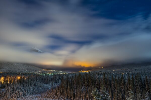 Foresta invernale canadese di notte