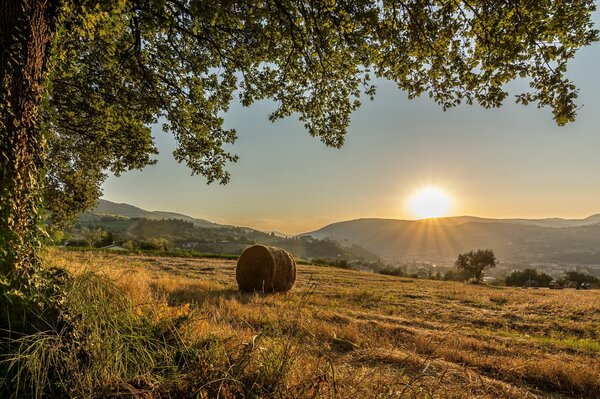 Lever du soleil dans les champs de l Italie