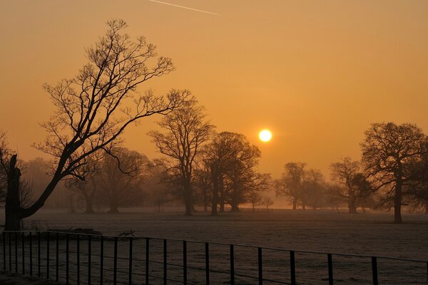 Coucher de soleil d hiver, brouillard dans le champ