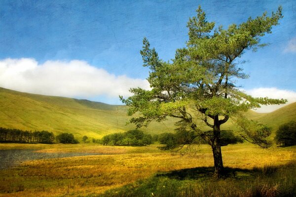 Sommerlandschaft mit Baum