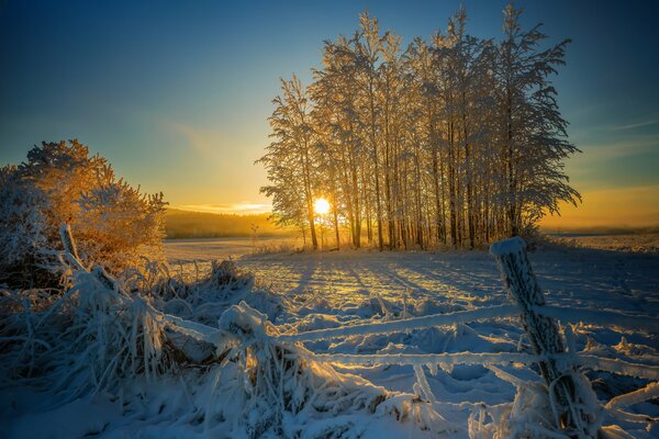 Cumuli di neve. Recinzione inclinata