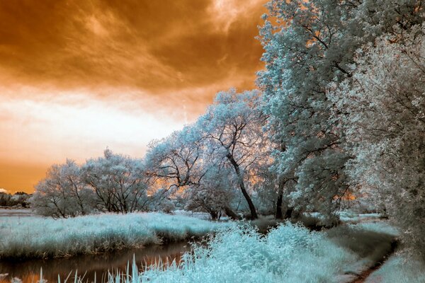 Paysage d été en traitement sépia