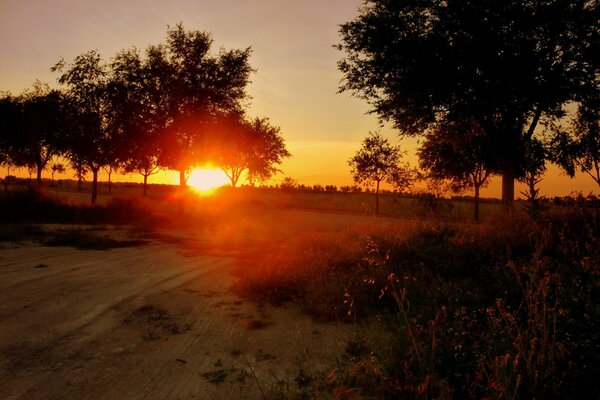 Natur auf einem roten Sonnenuntergang Hintergrund