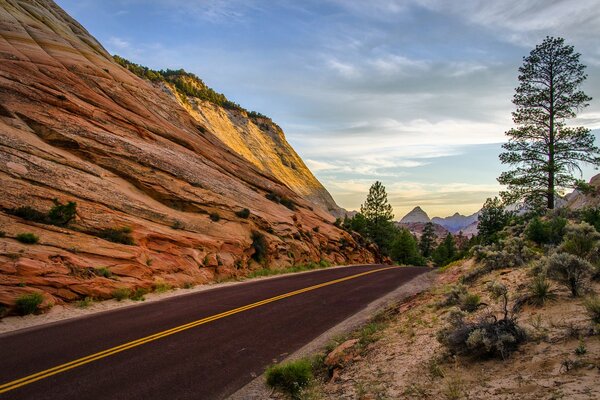 Carretera de montaña en el parque nacional Zion