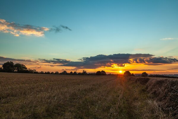 Puesta de sol en el campo en verano