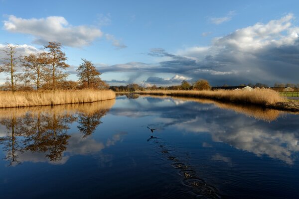 Landschaft am Morgen am See