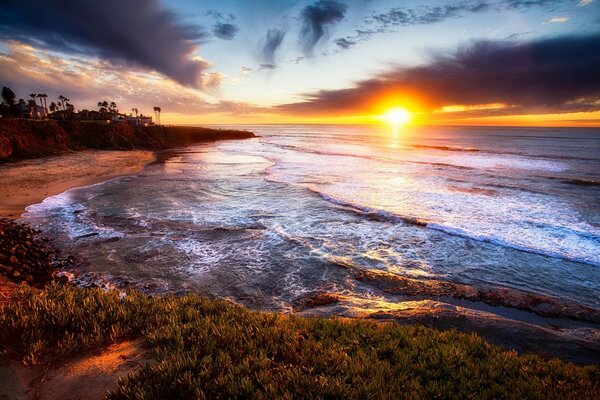 Wybrzeże z palmami w San Diego. Zachód słońca i morze