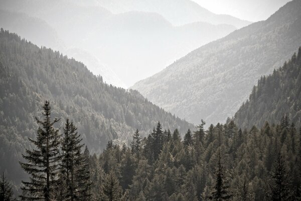 Paysage de montagne dans la brume grise