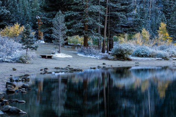 Banco junto al lago en el bosque de otoño