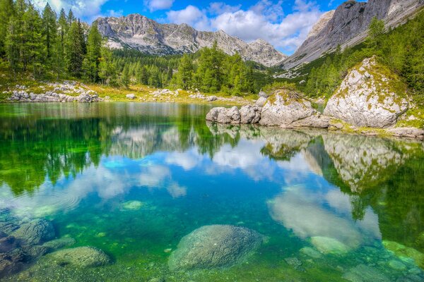 Transparenter Bergsee umgeben von Wald