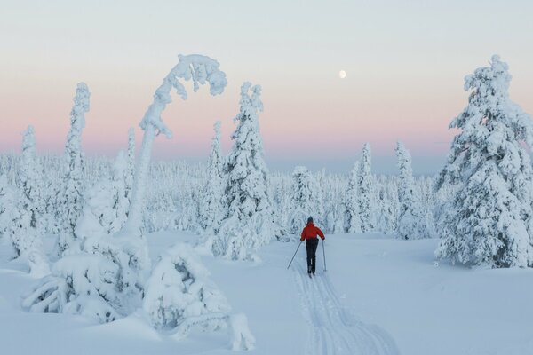 Skier and snow beauty of Finland