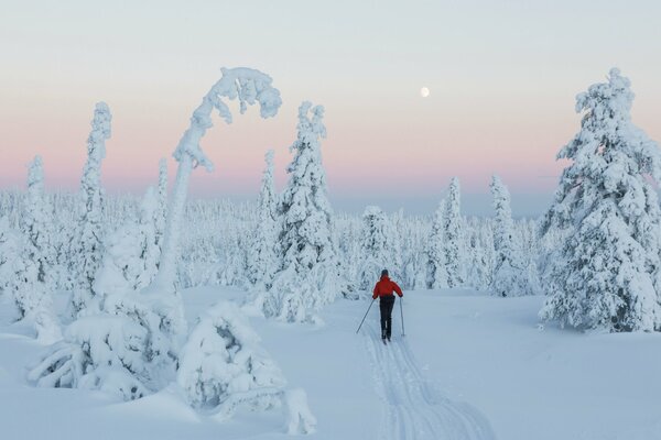 Skieur et beauté des neiges de la Finlande