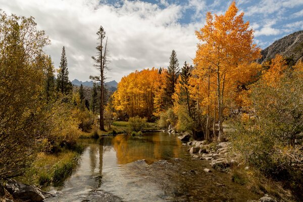 Autumn trees at Lake Sabrina in Nevada