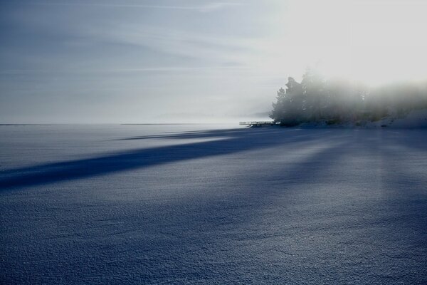 Winter foggy landscape of the field