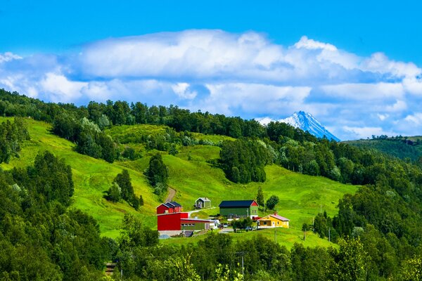 Norweska osada przy stoku z lasem