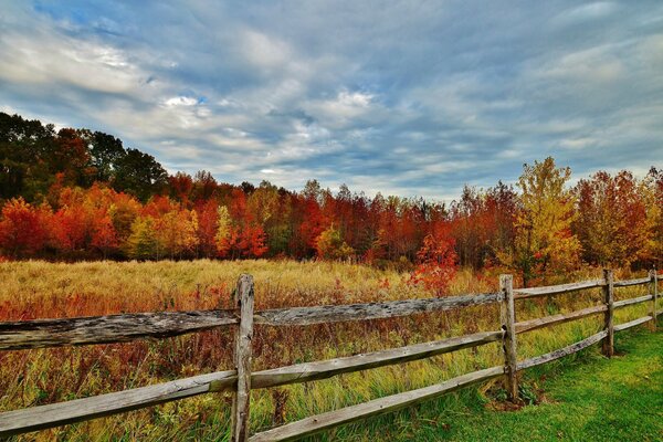 Fence on the background of picturesque autumn trees