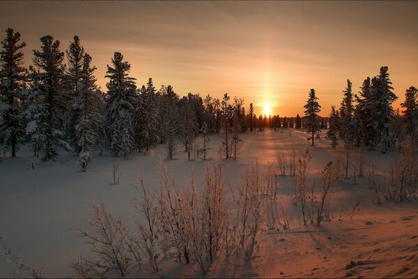 Winter sunset landscape in the taiga