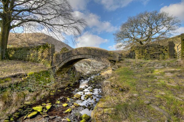 Stone bridge overgrown with moss