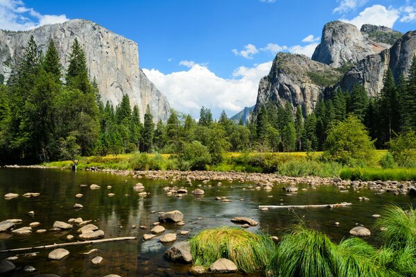 Paesaggio del Parco Nazionale di Yosemite