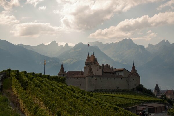 Winnica przy Starym szwajcarskim zamku