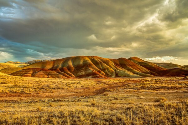 USA. Central Oregon. Plain