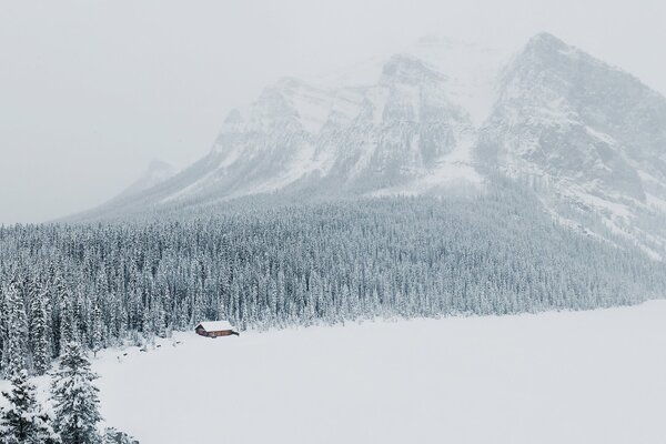 Ein Winterwald am Fuße der Berge am Lake Louise in Kanada