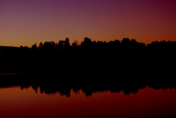 Coucher de soleil sur le lac de la forêt