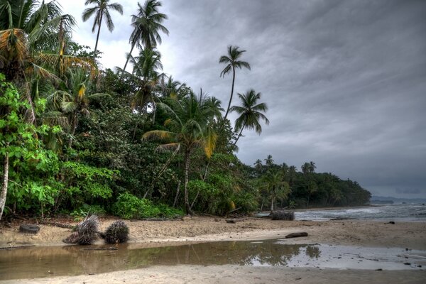 There are clouds in the sky on the coast the beach and palm trees