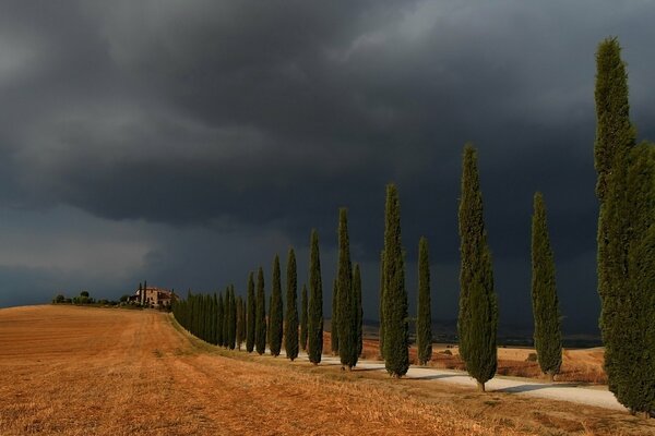 Cielo oscuro sobre el camino amarillo