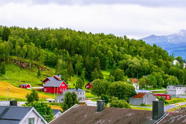 Jasne domki na zboczu gór w Norwegii