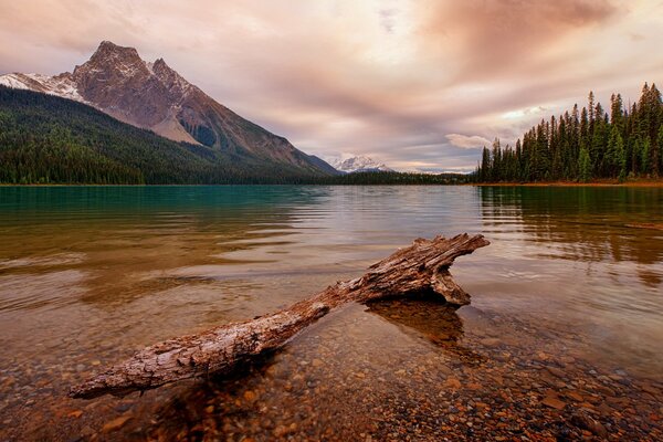 Emerald tides of the National Park