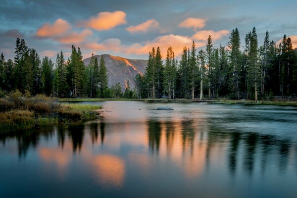 Capture in the mountains of the US National Park