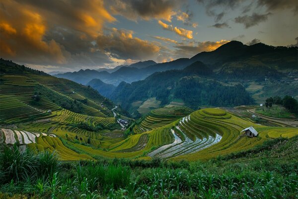 Felder in den Hügeln im Sommer in China